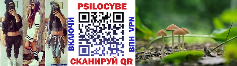 Псилоцибиновые грибы GOLDEN TEACHER Пересвет