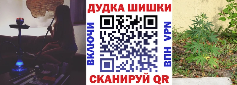 кракен зеркало  Пересвет  Канабис сатива  купить  сайты 